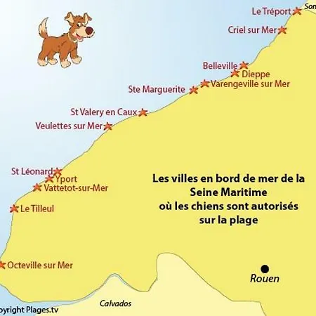 Le Kaleho, Grand Duplex Cosy Au Coeur De *
